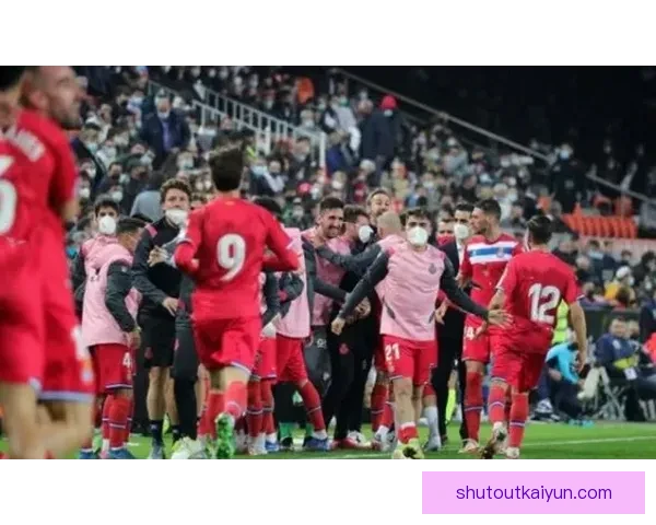 西甲转会优选：近期引援策略与球队竞争力提升分析